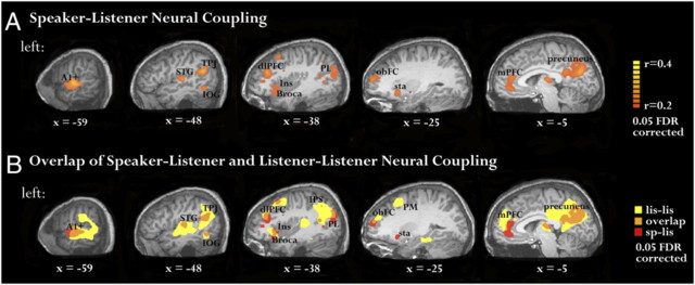 pnas.1008662107fig02.jpg