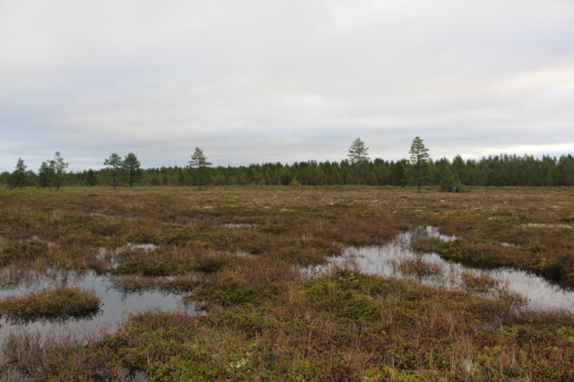 2023.10.3.%20Virpiniemi-Keskiniemi%20%28