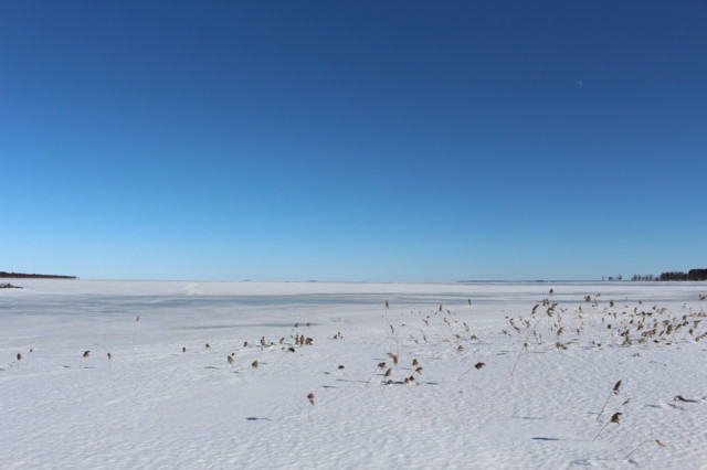 2024.3.17.%20Luovo%20Tornio%20%286%29.jp