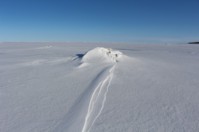 2024.4.2.%20Marjaniemi-Virpiniemi-Marjan