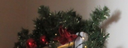 IMG_0002.jpg