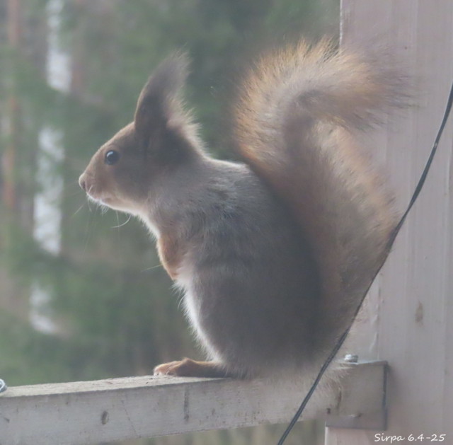 IMG_7635.jpg