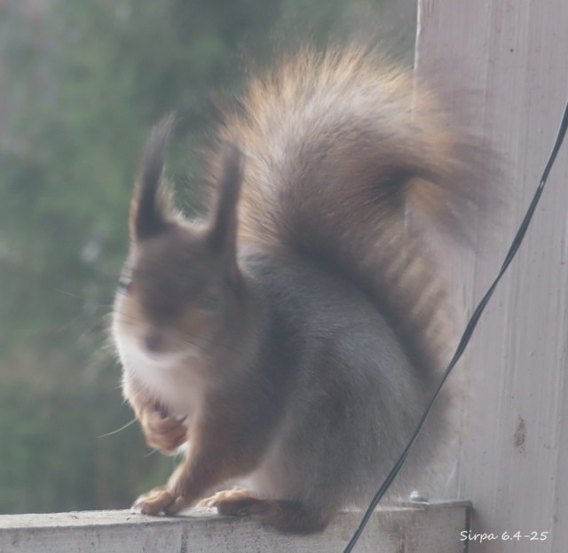 IMG_7636.jpg