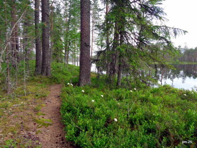 DSC07912.jpg