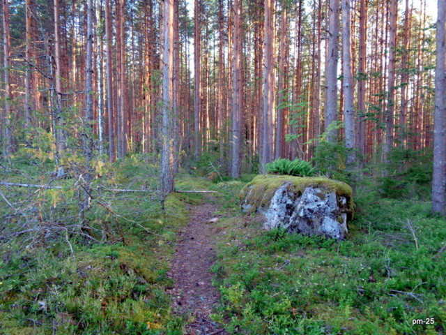DSC09885.jpg