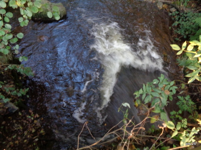 DSC02724.jpg