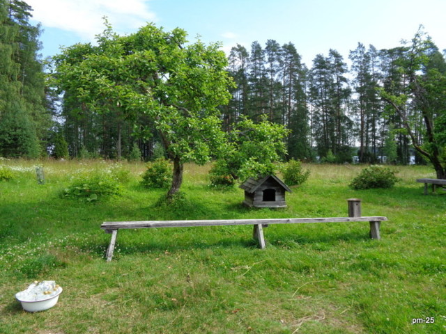 DSC09667.jpg