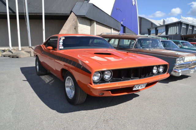 DSC_0845.jpg?1758212057